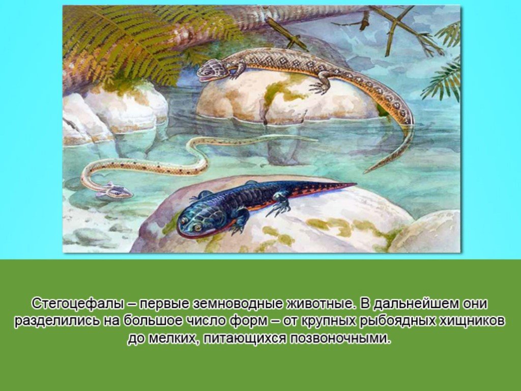 Первые позвоночные животные на суше. Палеозойская Эра стегоцефалы. Рептилии палеозойской эры. Амфибии палеозойской эры. Палеонтология Палеозойская Эра.