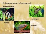6.Перечислите обитателей аквариума. барбус скалярия гурами