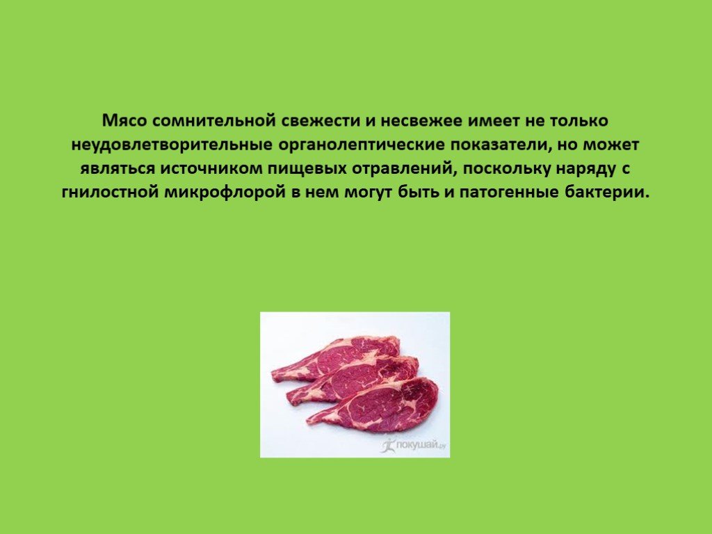 Сомнительная свежесть. Характеристика мяса. Мясо сомнительной свежести. Показатели несвежего мяса.