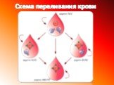 Схема переливания крови
