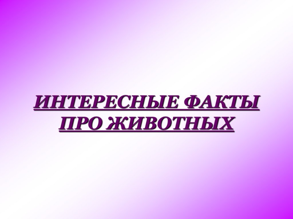 Презентация интересные факты