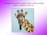 У жирафов абсолютно черный язык, длина которого может доходить до 45 см.
