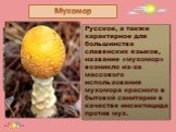 Русское, а также характерное для большинства славянских языков, название «мухомор» возникло из-за массового использования мухомора красного в бытовой санитарии в качестве инсектицида против мух. Prezented.Ru Мухомор