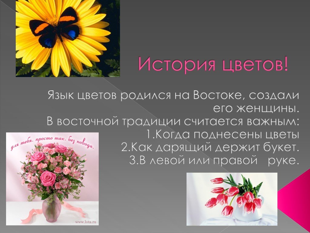 Насчет цветов. Презентация на тему цветы. Цветы для презентации. Тема цветов для презентации. Презентация о цветах.