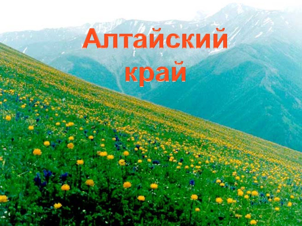 Природа алтая презентация