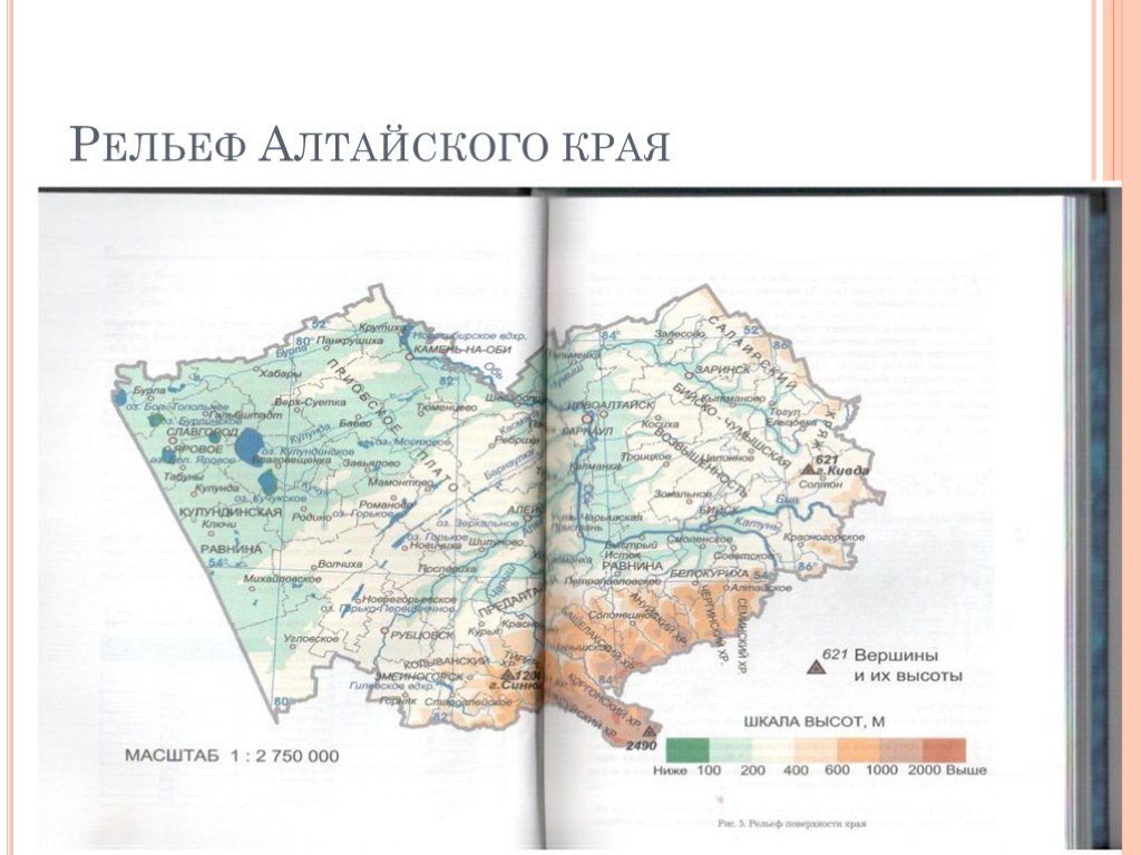 Рельеф алтайского края карта