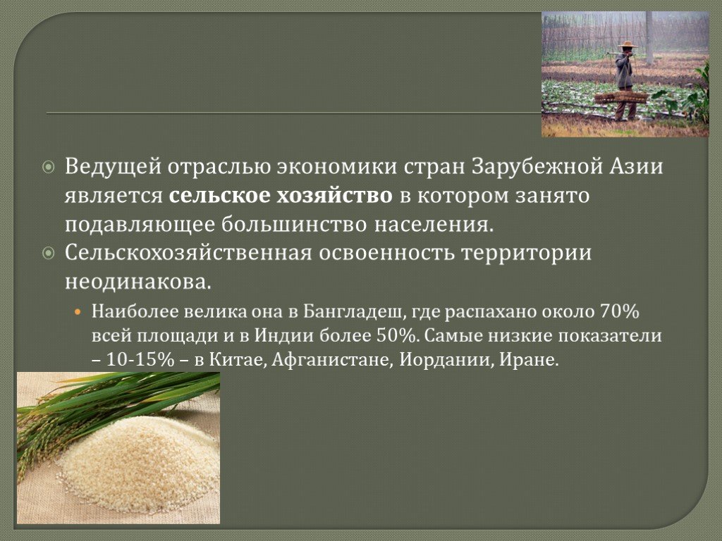 Население хозяйства азии. Сельское хозяйство зарубежной Азии. Структура национального хозяйства Азии. Хозяйство стран зарубежной Азии. Отрасли хозяйства зарубежной Азии.