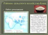 Районы сельского хозяйства Азии. Район рисосеяния. В среднем житель Восточной и ЮrоВосточной Азии потребляет 100-300 кг риса в год. В структуре eгo пищевого рациона на рис приходится примерно 3/4 всех калорий. Это значит, что рис и изделия из нeгo входят в ежедневное меню и завтрака, и обеда, и ужин