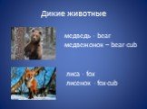 Дикие животные. медведь - bear медвежонок – bear-cub. лиса - fox лисенок - fox-cub