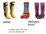 wellies. a rubber boot that stops your foot getting wet. wellington boots