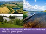 The lakes are surrounded with beautiful landscapes with 800 species plants.