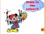 What is the colour?