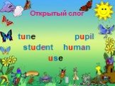 tune pupil student human use