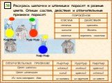 Раскрась шапочки и штанишки поросят в разные цвета. Опиши состав, действия и отличительные признаки поросят. 30 пятачок копыта хвостик хрюкать бегать вертеть хвостом Цвет шапочки Цвет штанишек. Из чего построен дом. Ниф-Ниф Наф-Наф Нуф-Нуф жёлтый зелёный красный синий из соломы из прутьев из камня