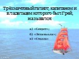 Трёхмачтовый галиот, капитаном и владельцем которого был Грей, назывался: в) «Стелла» а) «Секрет»; б) «Эспаньола»;