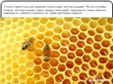 Пчелы строят соты для хранения мёда в виде шестиугольника. Это не случайно. Сторона шестиугольника равна радиусу описанной окружности, таким образом, окружность строится и делится на одним раствором циркуля.