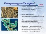 Что провоцирует Листериоз? Listeria monocytogenes - типовой вид рода Listeria - подвижная неспорообразующая грамположительная палочка Образует капсулу, трансформироваться в L-формы Паразитирует внутри клеток, обусловливая медленное латентное развитие инфекции Листерии – микроаэрофилы, выделяют 7 осн