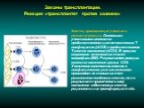 Клетки, принимающие участие в развитии реакции. Основными участниками являются предшественники цитотоксических Т-лимфоцитов (пCD8) и предшественники Т-клеток воспаления (пCD4). В процесс созревания включаются также макрофаги (МФ). Результатом реакции является накопление зрелых CD8. Увеличение количе