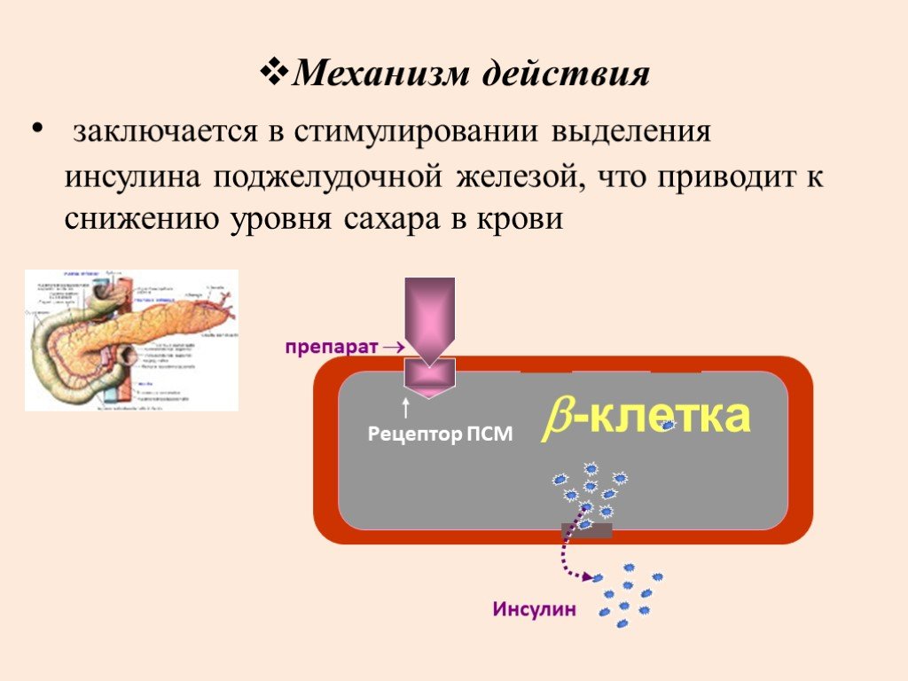 В чем заключается действие. Механизм выделения инсулина. Препараты инсулина механизм действия. Механизм действия инсулина на клеточном уровне. Механизм действия инсулиновых препаратов.