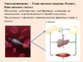 Тиазолидиндионы – Росиглитазон (Авандия, Роглит), Пиоглитазон (Актос) Механизм действия как у метформина, и основан на повышении чувствительности тканей к инсулину. Увеличивает транспорт глюкозы внутрь жировых клеток и мышц.