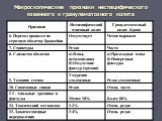 Симптомы рака желудка, методы раннего выявления, симптоматология заболеваний кишечника Слайд: 42