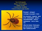 Тип Arthropoda Класс Arachnoidea Отряд Аcari Семейство Ixodidae Самка клеща рода Ixodes. Ротовой аппарат колюще-сосущего типа. На спинной стороне тела есть хитиновый щиток, закрывающий только переднюю часть тела, что обеспечивает большую растяжимость брюшка при кровососании