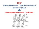 GDNF нейротрофический фактор глиального происхождения антипаркинсоническое действие