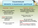 Социализация личности и социальная адаптация. Социализация личности. Процесс усвоения индивидом образцов поведения, социальных ролей и норм, духовных ценностей. Условие. Вне постоянных связей с другими людьми социализация невозможна. Протекает в течение всей жизни человека. Социальная адаптация. Про