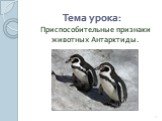 Тема урока: Приспособительные признаки животных Антарктиды.