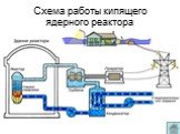Схема работы кипящего ядерного реактора