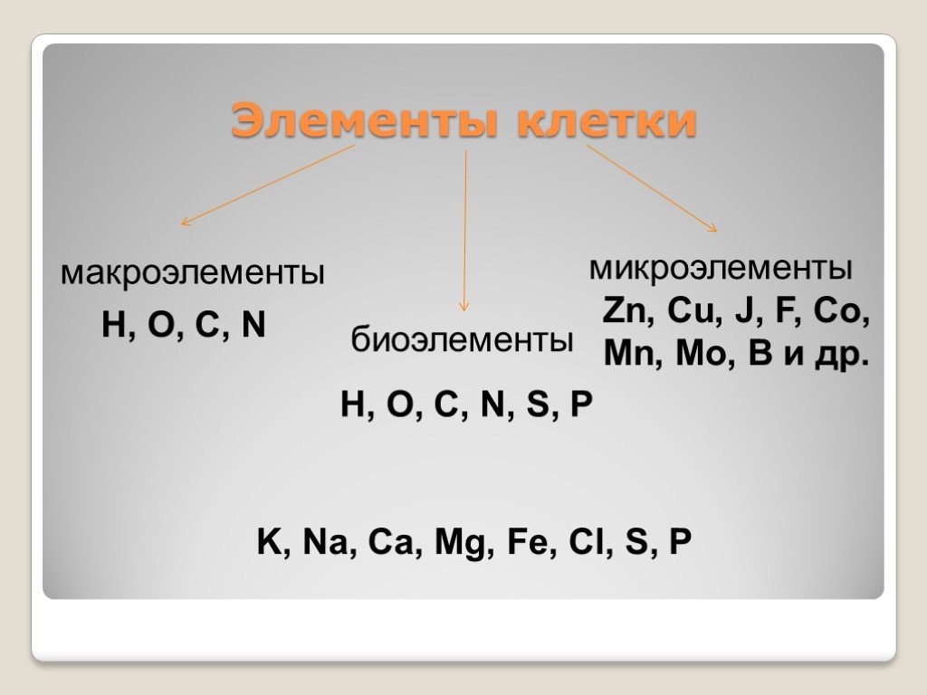 Mg k mn p cr. Биоэлементы макроэлементы микроэлементы. К макроэлементам относятся элементы. Химические элементы клетки. Химические элементы макроэлементы биоэлементы микроэлементы.