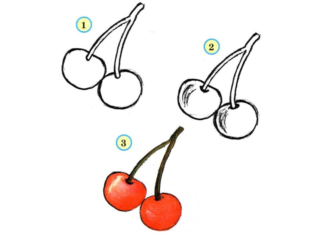 Рисовать фрукты. Поэтапное рисование фруктов. Поэтапное рисование овощей и фруктов. Рисование фруктов для дошкольников. Схемы рисования ягод.