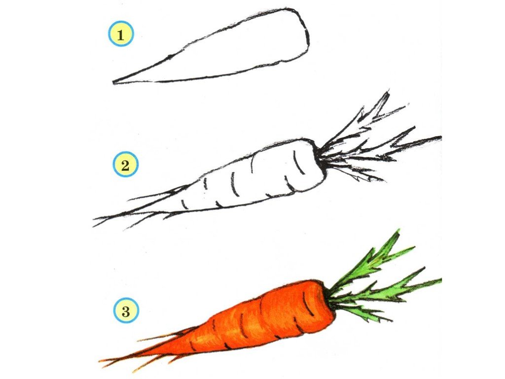 Как рисовать овощи и фрукты для детей