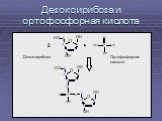 Дезоксирибоза и ортофосфорная кислота. Дезоксирибоза. Ортофосфорная кислота