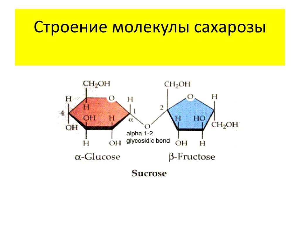 Третий экзамен сахарозы. Строение сахарозы формула. Сахароза структур формула. Строение сахарозы структурная формула. Структурная формула молекулы сахарозы.