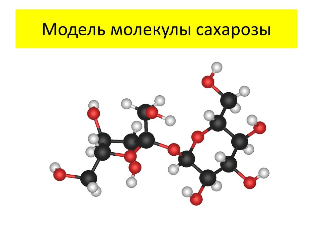 Сахароза состав молекулы. Модель молекулы 2-метилпропана. Молекула сахарозы формула. Модель сахарозы. Молекулярное строение сахарозы.