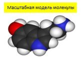 Масштабная модель молекулы