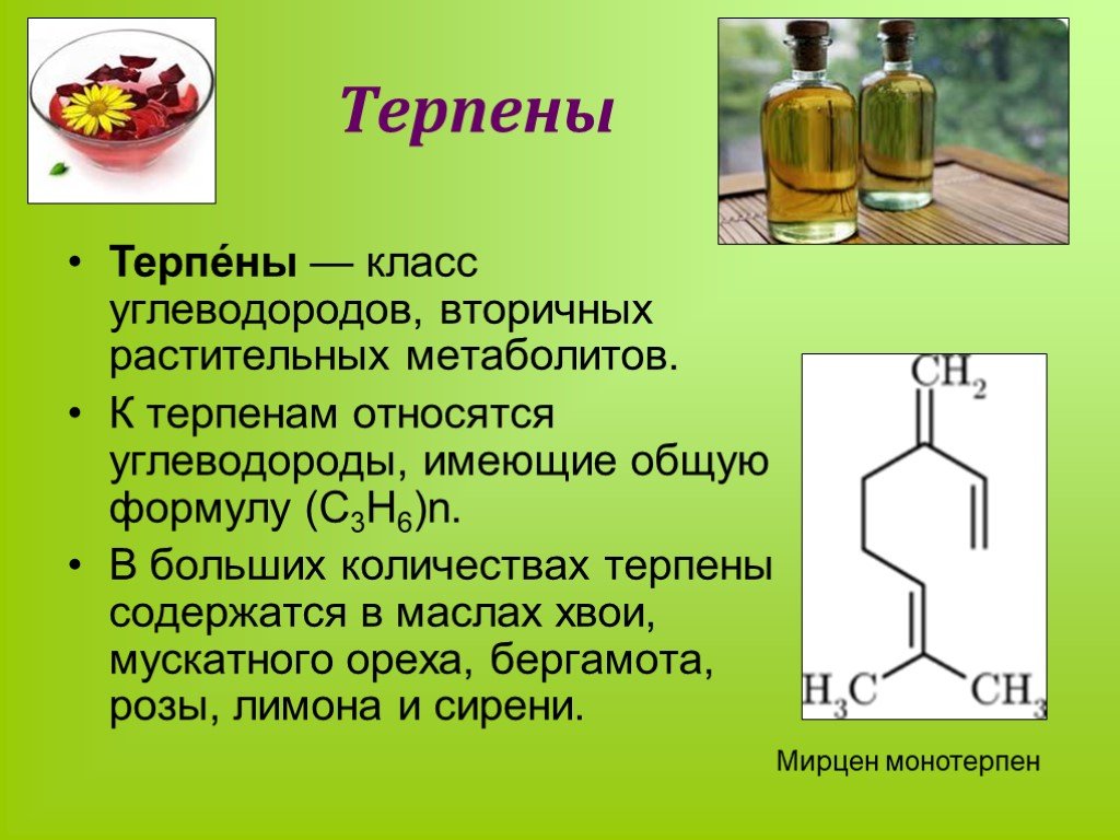 Презентация на тему терпены