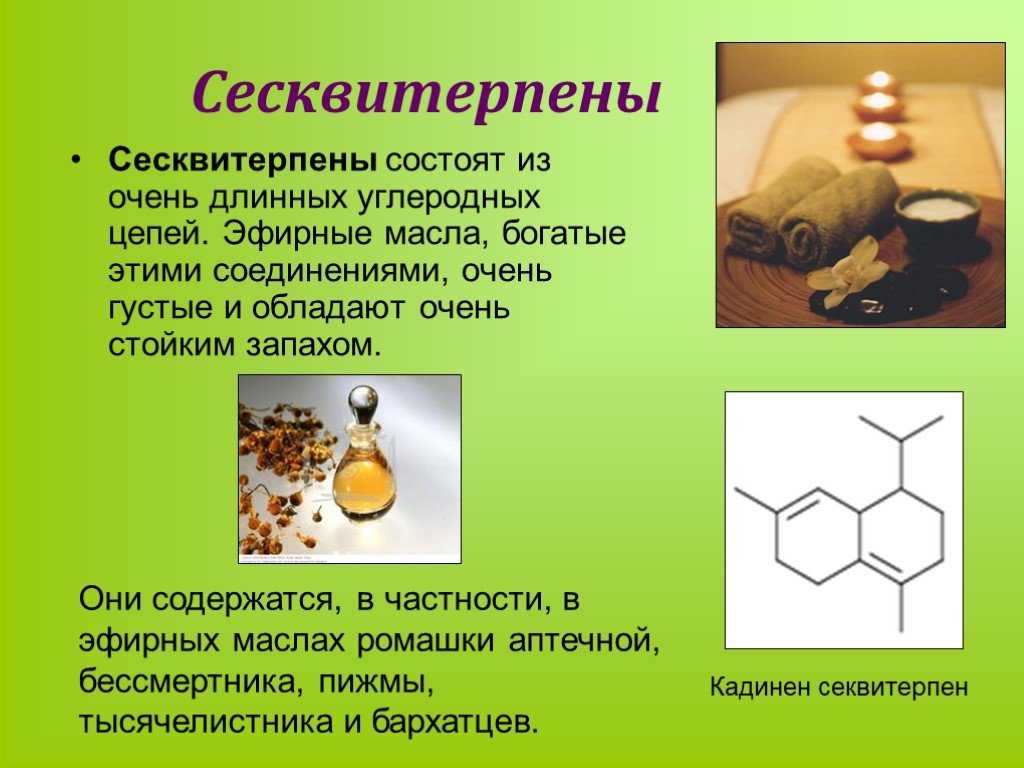 Эфирные масла проект по химии