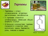 Терпены. Терпе́ны — класс углеводородов, вторичных растительных метаболитов. К терпенам относятся углеводороды, имеющие общую формулу (С3Н6)n. В больших количествах терпены содержатся в маслах хвои, мускатного ореха, бергамота, розы, лимона и сирени. Мирцен монотерпен