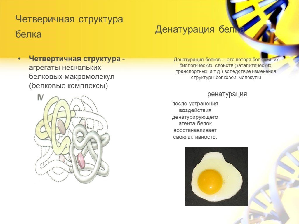 Денатурация белков проект