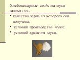 Хлебопекарные свойства муки зависят от: • качества зерна, из которого она получена; • условий производства муки; • условий хранения муки.