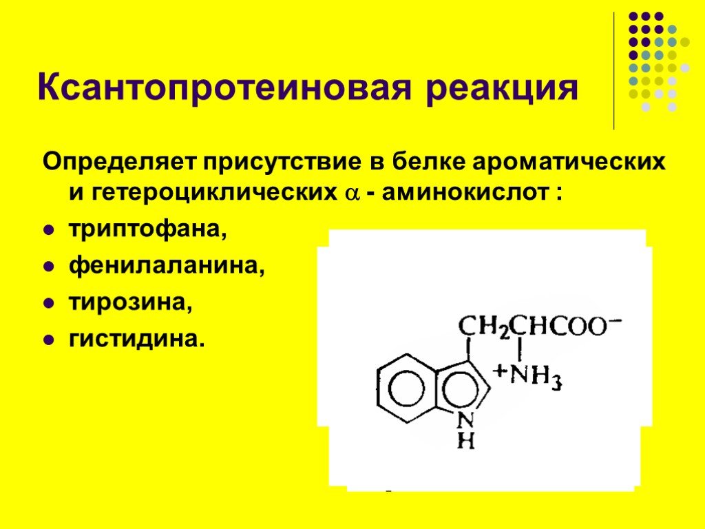 Реакция на белок что значит. Ксантопротеиновая реакция на тирозин. Ксантопротеиновая реакция фенилаланина. Цветные реакции на белки ксантопротеиновая реакция. Качественные реакции на аминокислоты ксантопротеиновая.