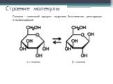 Строение молекулы. α-глюкоза β-глюкоза. Глюкоза — конечный продукт гидролиза большинства дисахаридов и полисахаридов.
