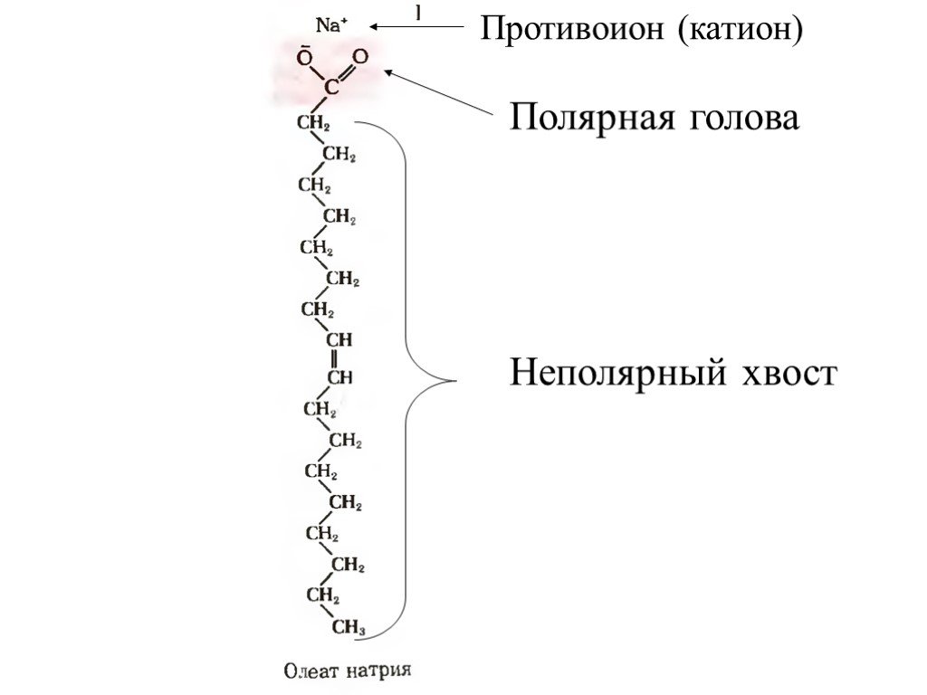 Липиды неполярные вещества. Неполярные хвосты липидов. Полярные липиды. Полярные и неполярные липиды.