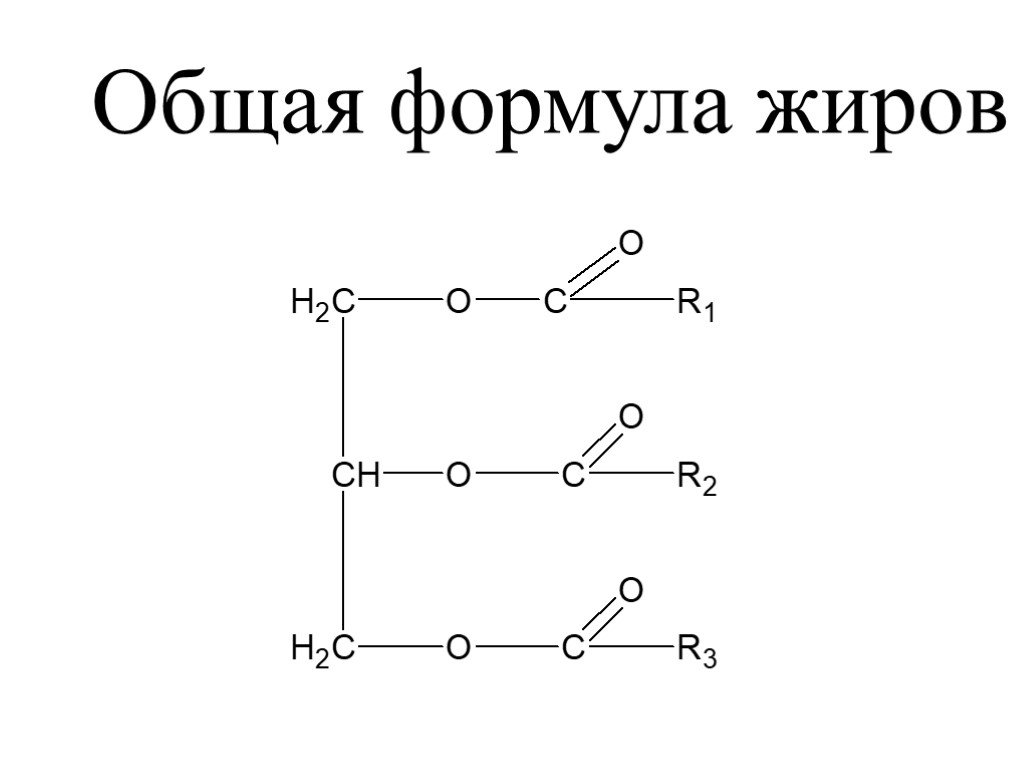 Жиры химия