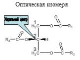 Оптическая изомеря. Хиральный центр