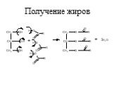 Получение жиров