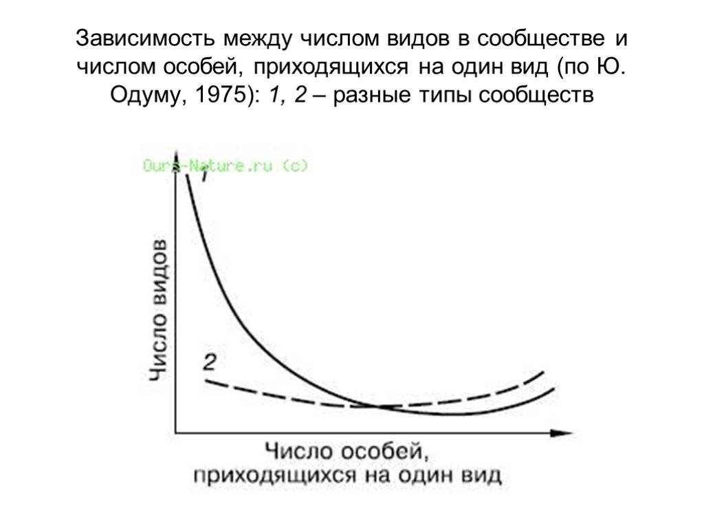 Зависимость между количеством. Зависимость числа видов сообщества от числа особей. Кривая зависимости между числом видов и числом особей. Зависимость между числом видов в биоценозе и числом особей. Виды зависимостей чисел.