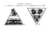 Пирамиды численности: 1 — прямая; 2 — перевернутая (по Е. А. Криксунову и др., 1995)